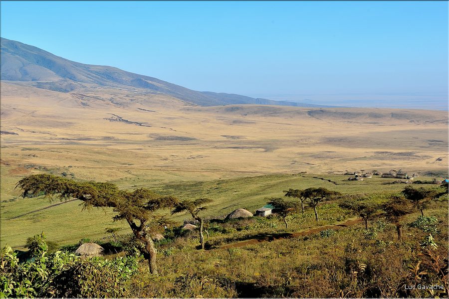 Sur les versants extérieurs du N'Gorongoro, les Maasa sont très présents car les pâturages sont nombreux pour leurs bêtes. (2)