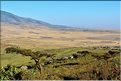 Sur les versants extérieurs du N'Gorongoro, les Maasa sont très présents car les pâturages sont nombreux pour leurs bêtes. (2)