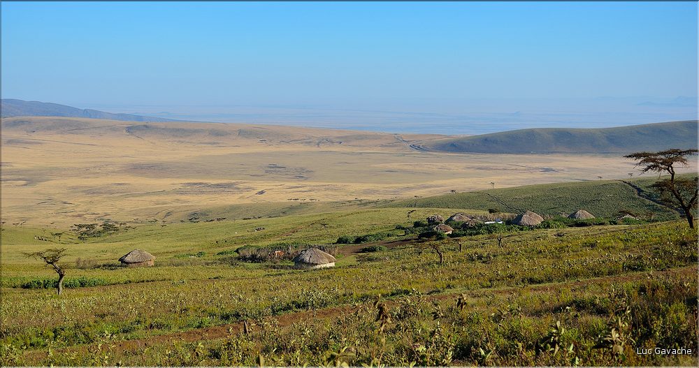Sur les versants extérieurs du N'Gorongoro, les Maasa sont très présents car les pâturages sont nombreux pour leurs bêtes. (3)