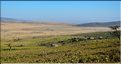 Sur les versants extérieurs du N'Gorongoro, les Maasa sont très présents car les pâturages sont nombreux pour leurs bêtes. (3)