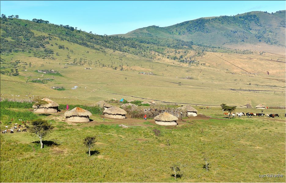 Sur les versants extérieurs du N'Gorongoro, les Maasa sont très présents car les pâturages sont nombreux pour leurs bêtes. (7)
