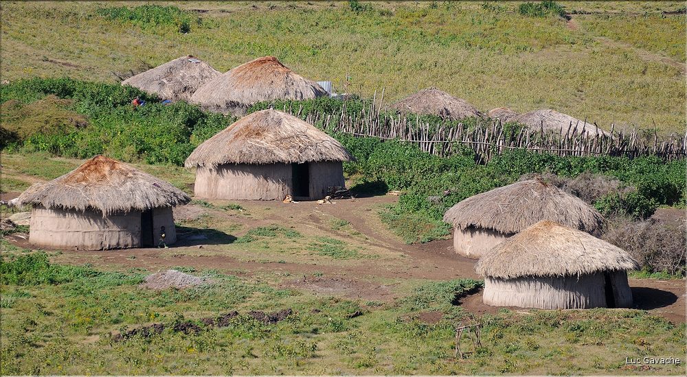 Sur les versants extérieurs du N'Gorongoro, les Maasa sont très présents car les pâturages sont nombreux pour leurs bêtes. (11)