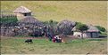 Sur les versants extérieurs du N'Gorongoro, les Maasa sont très présents car les pâturages sont nombreux pour leurs bêtes. (12)