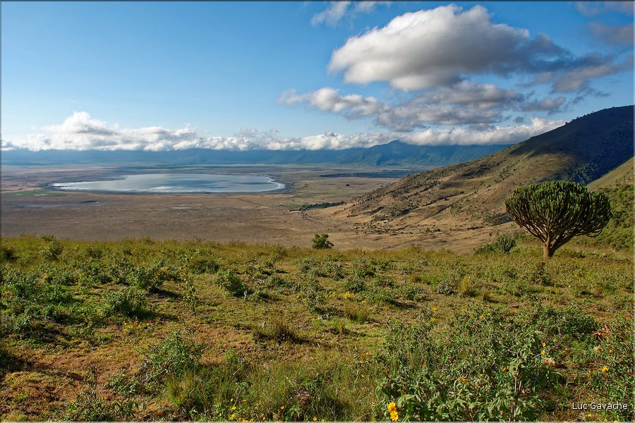 Le cratère du N'Gorongoro. (6)