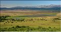 En chemin vers la sortie du cratère du N'Gorongoro. (3)