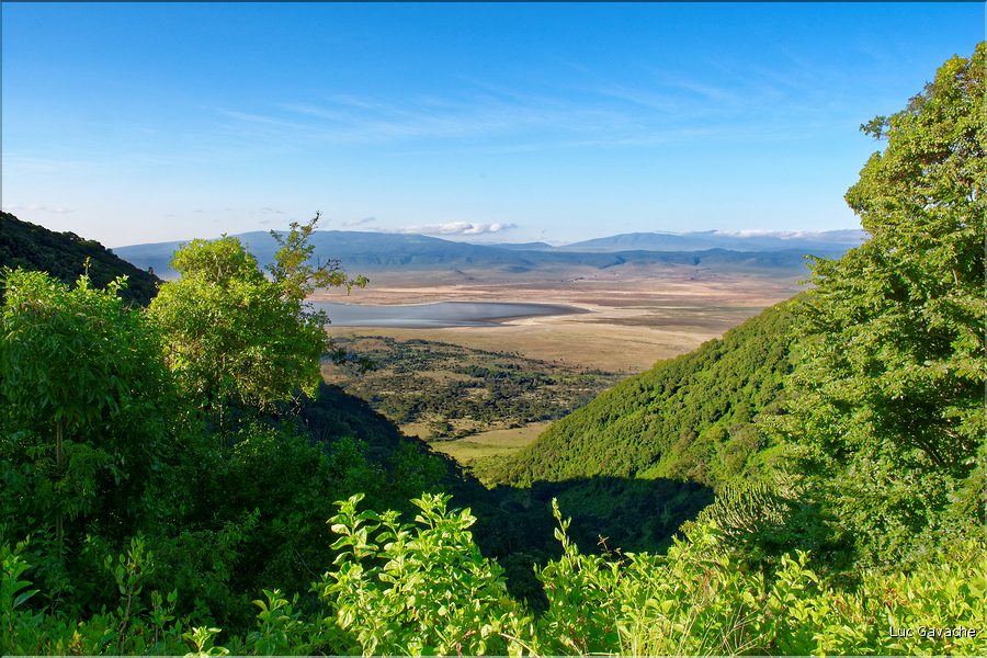 En chemin vers la sortie du cratère du N'Gorongoro. (6)