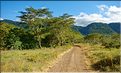En chemin vers la sortie du cratère du N'Gorongoro. (8)