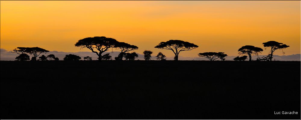 Quelques lever et coucher de soleil sur le Serengeti. (1)