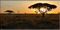 Quelques lever et coucher de soleil sur le Serengeti. (4)