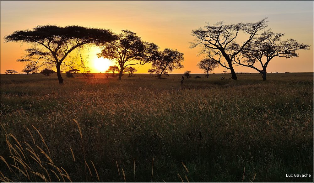 Quelques lever et coucher de soleil sur le Serengeti. (6)