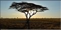 Quelques lever et coucher de soleil sur le Serengeti. (8)