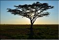 Quelques lever et coucher de soleil sur le Serengeti. (9)