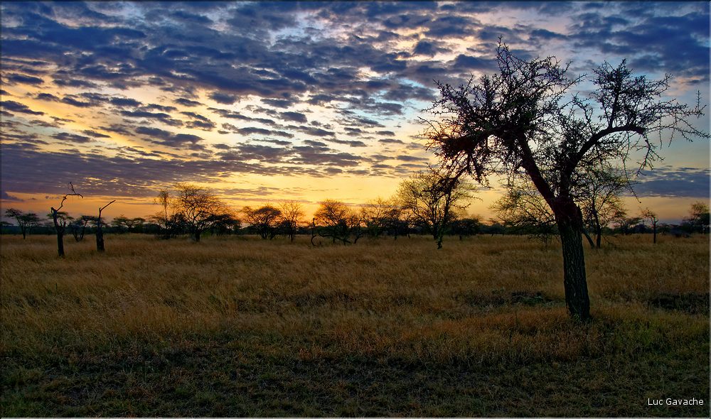 Quelques lever et coucher de soleil sur le Serengeti. (10)