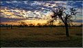 Quelques lever et coucher de soleil sur le Serengeti. (10)