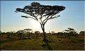 Quelques lever et coucher de soleil sur le Serengeti. (11)