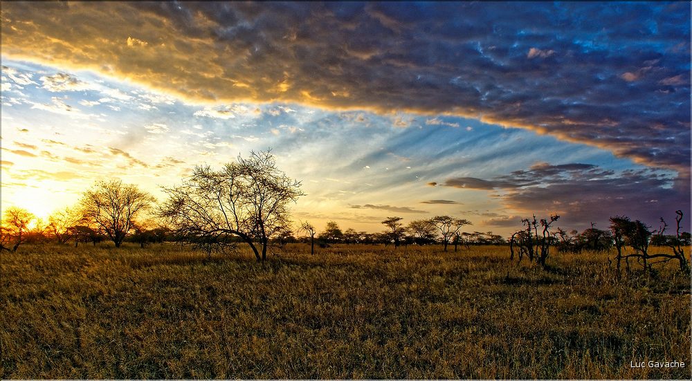 Quelques lever et coucher de soleil sur le Serengeti. (13)