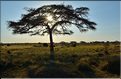 Quelques lever et coucher de soleil sur le Serengeti. (14)