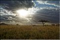 Quelques lever et coucher de soleil sur le Serengeti. (15)