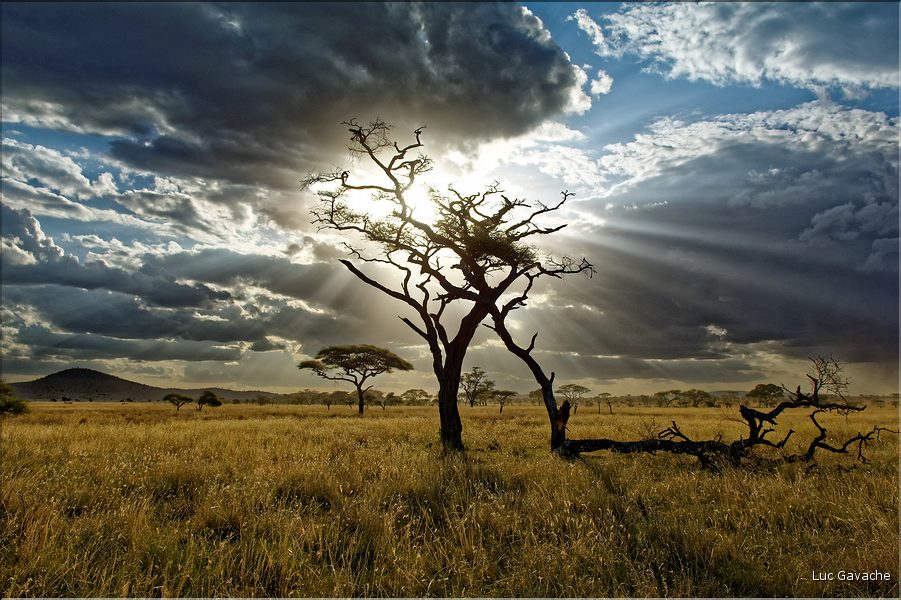 Quelques lever et coucher de soleil sur le Serengeti. (16)