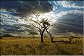Quelques lever et coucher de soleil sur le Serengeti. (16)
