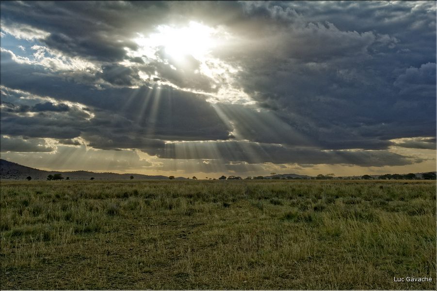 Quelques lever et coucher de soleil sur le Serengeti. (18)