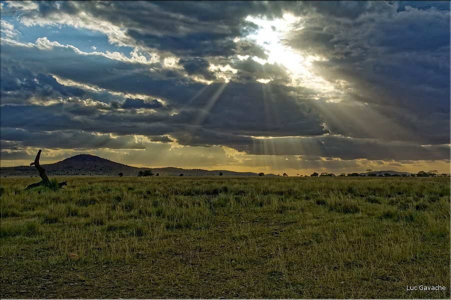 Quelques lever et coucher de soleil sur le Serengeti. (19)