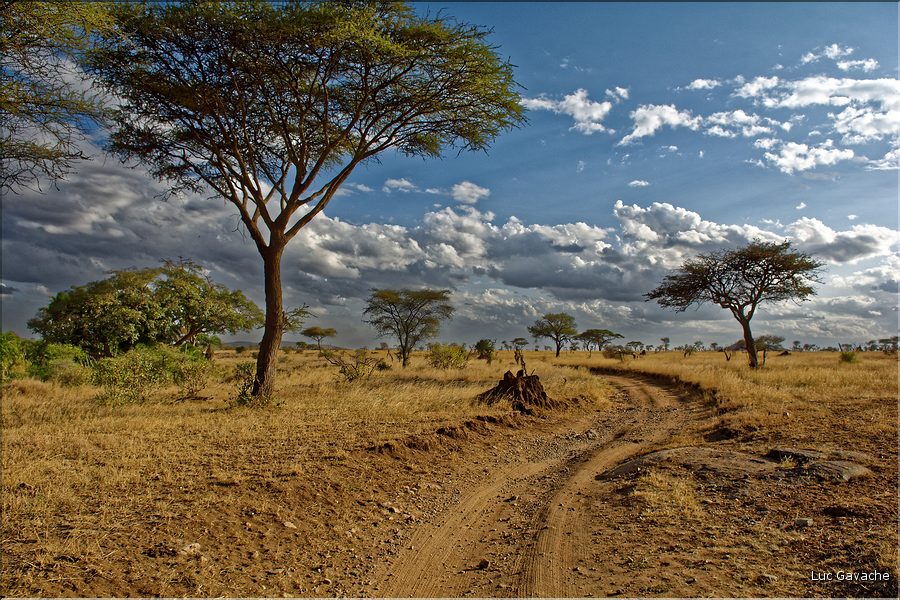 Les paysages du sud du Serengeti. (2)
