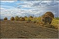 Les paysages du sud du Serengeti. (3)