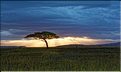 Les paysages du sud du Serengeti. (8)