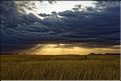 Les paysages du sud du Serengeti. (9)