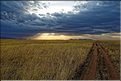 Les paysages du sud du Serengeti. (10)