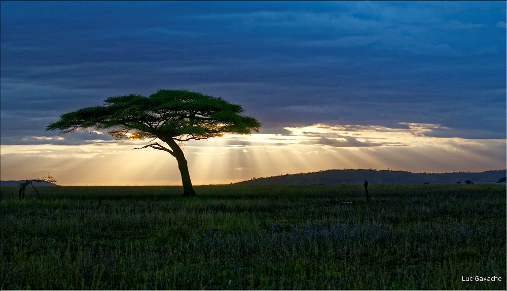 Les paysages du sud du Serengeti. (11)