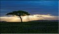 Les paysages du sud du Serengeti. (11)