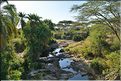 Certains cours d'eaux du Serengeti abritent de nombreux crocodiles... (2)