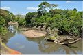 Certains cours d'eaux du Serengeti abritent de nombreux crocodiles... (17)
