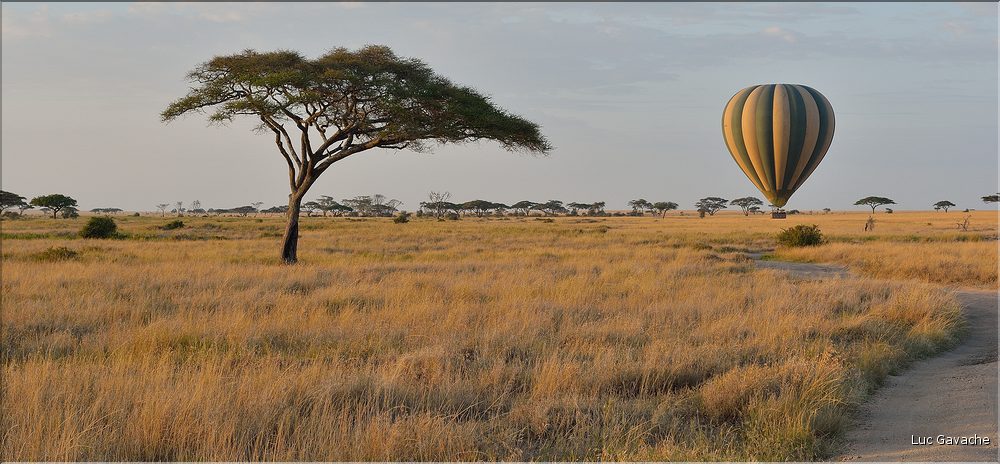 Vol de montgolfière au-dessus du Serengeti. (1)