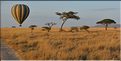 Vol de montgolfière au-dessus du Serengeti. (2)