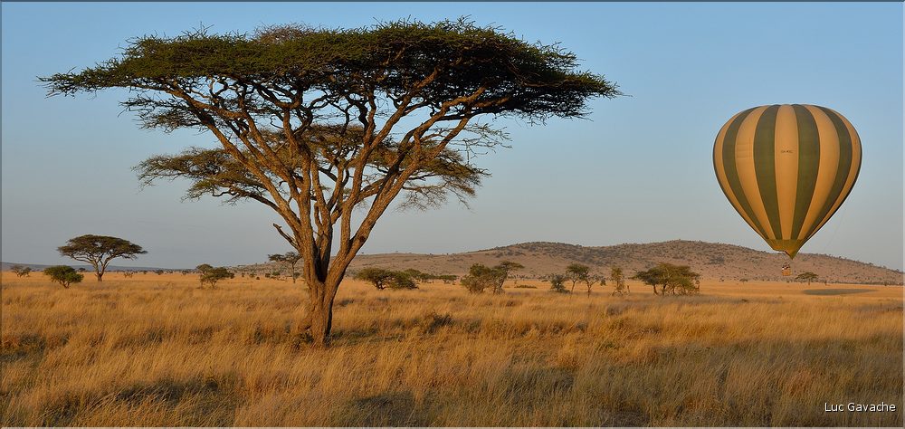 Vol de montgolfière au-dessus du Serengeti. (4)