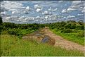 Le parc de Tarangire doit son nom à la rivière du même nom (2)