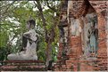 Le Wat Mahathat d'Ayutthaya fut édifié au XIV ème siècle. (4)