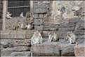 Plus au nord, Lopburi possède également des vestiges de style Khmère. (2)