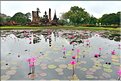 Wat Mahathat était réservé à la famille royale, lorsque Sukhotha était la capitale du royaume du Siam à partir du début du XIII ème siècle. (5)