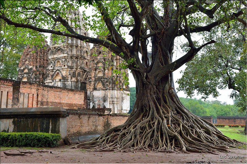 Wat Sri Sawai de Sukhothai fut édifié à l'époque de la domination Khmère.