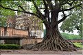 Wat Sri Sawai de Sukhothai fut édifié à l'époque de la domination Khmère.