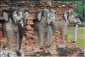 Wat Chang Lom de Sukhotai. (4)