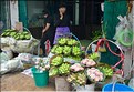 Le marché aux fleurs et aux primeurs de Bangkok.   (3)