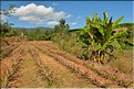 Dans les environs du village Ban Karen Raummit. (3)
