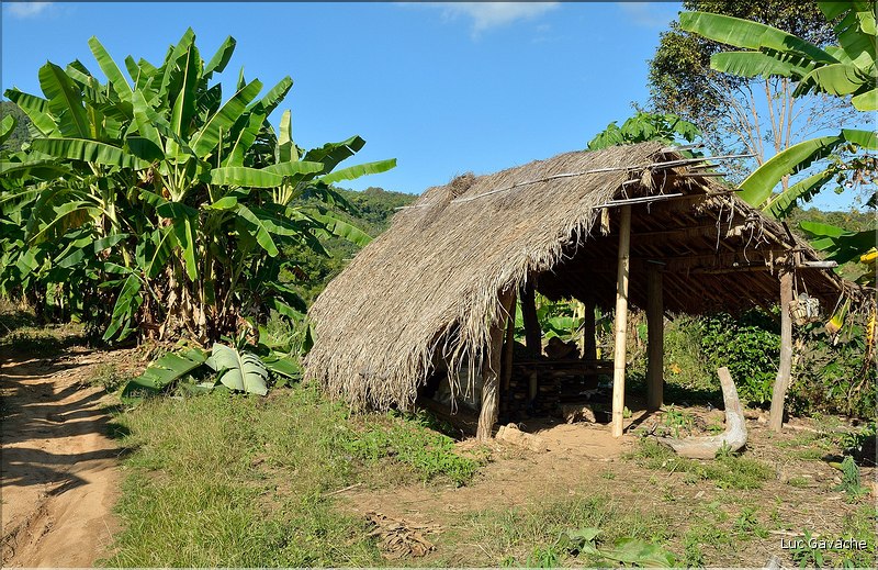 Dans les environs du village Yafu. (17)