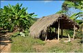 Dans les environs du village Yafu. (17)
