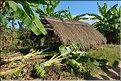 Dans les environs du village Yafu. (19)